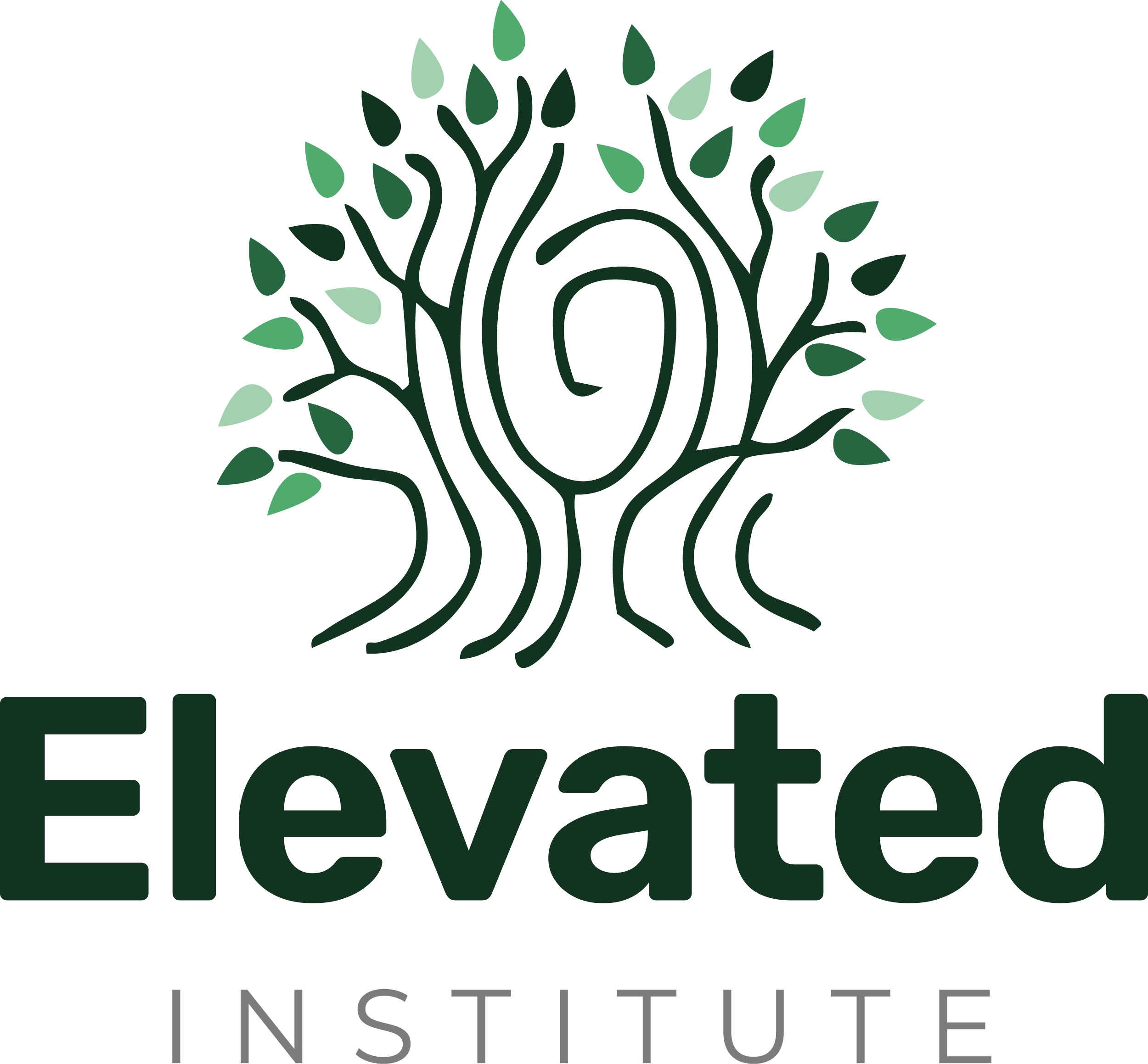 Elevated Institute
